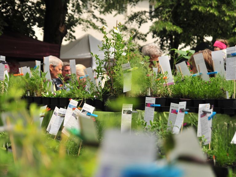 Fiera Idee Giardino Chiusa: Brennende Liab & Co.