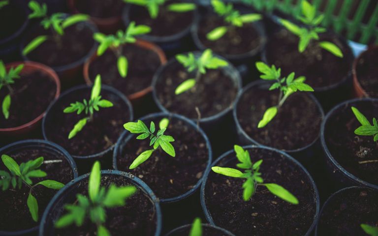 Tage der Politischen Bildung