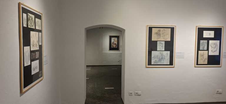 TAG DER ZEITGENÖSSISCHEN KUNST 