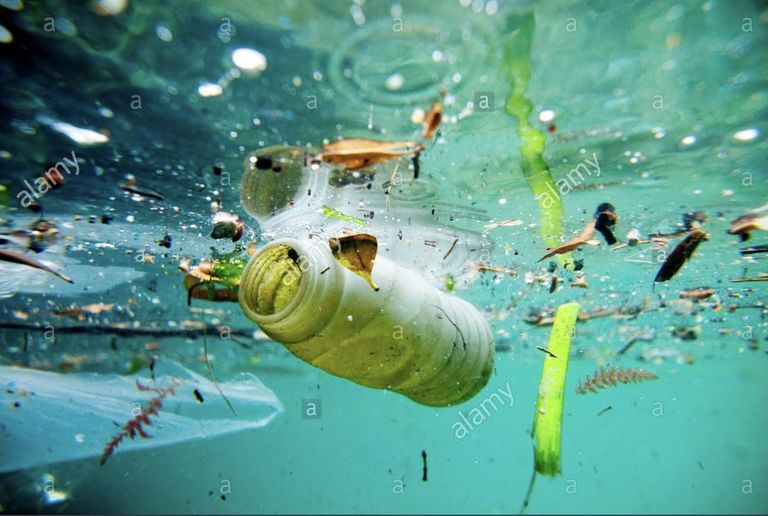 CritiKa „Wasser ist Leben“