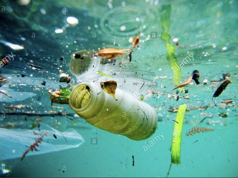 CritiKa „Wasser ist Leben“