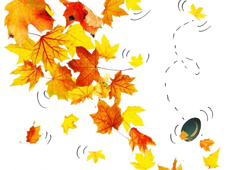 Chorkonzert 'HOFFNUNG IM HERBST'