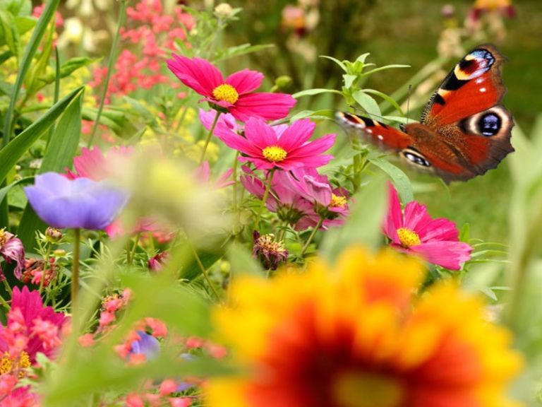 Vortrag "Naturnahes Öffentliches Grün" mit Helga Salchegger