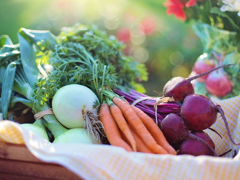 Giardino dell'incontro con Alexander Huber