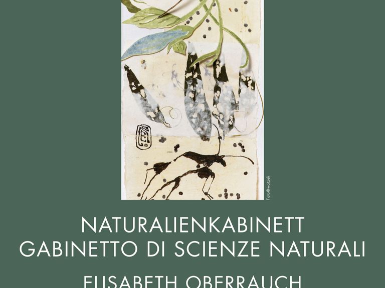 GIORNATA INTERNAZIONALE DEI MUSEI 21 maggio