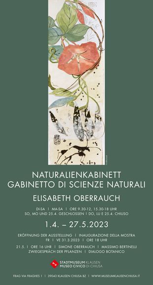 GIORNATA INTERNAZIONALE DEI MUSEI 21 maggio